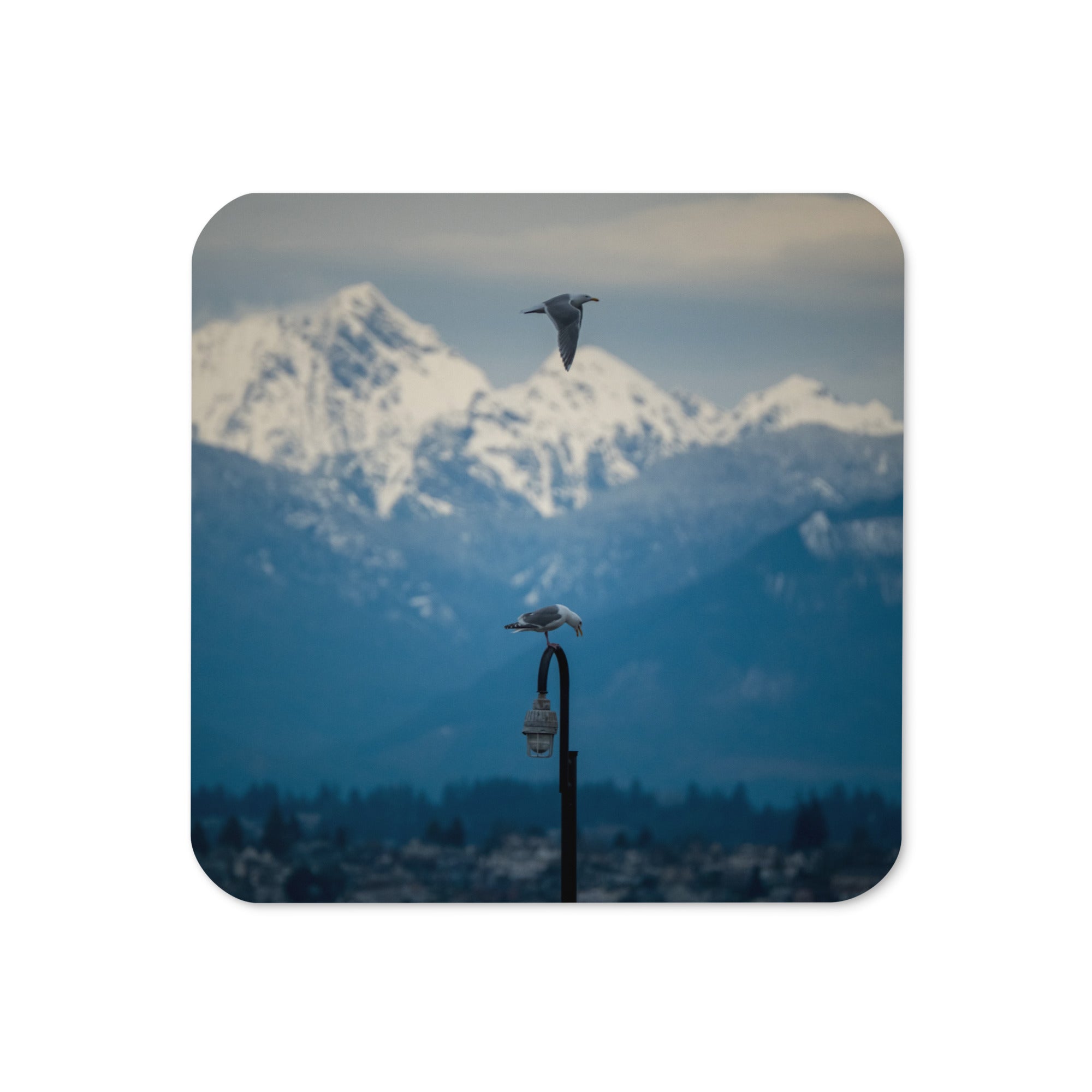 Gloss Coated Cork Backed Coaster - Perch & Soar