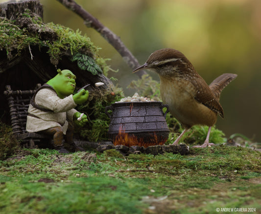 Toy Photography Magic: A Journey into Miniature Worlds! - Andrew Camera