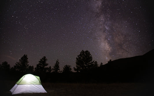 Beyond the Lens: Navigating the Beauty of Wildlife and Landscapes - Jake Padilla