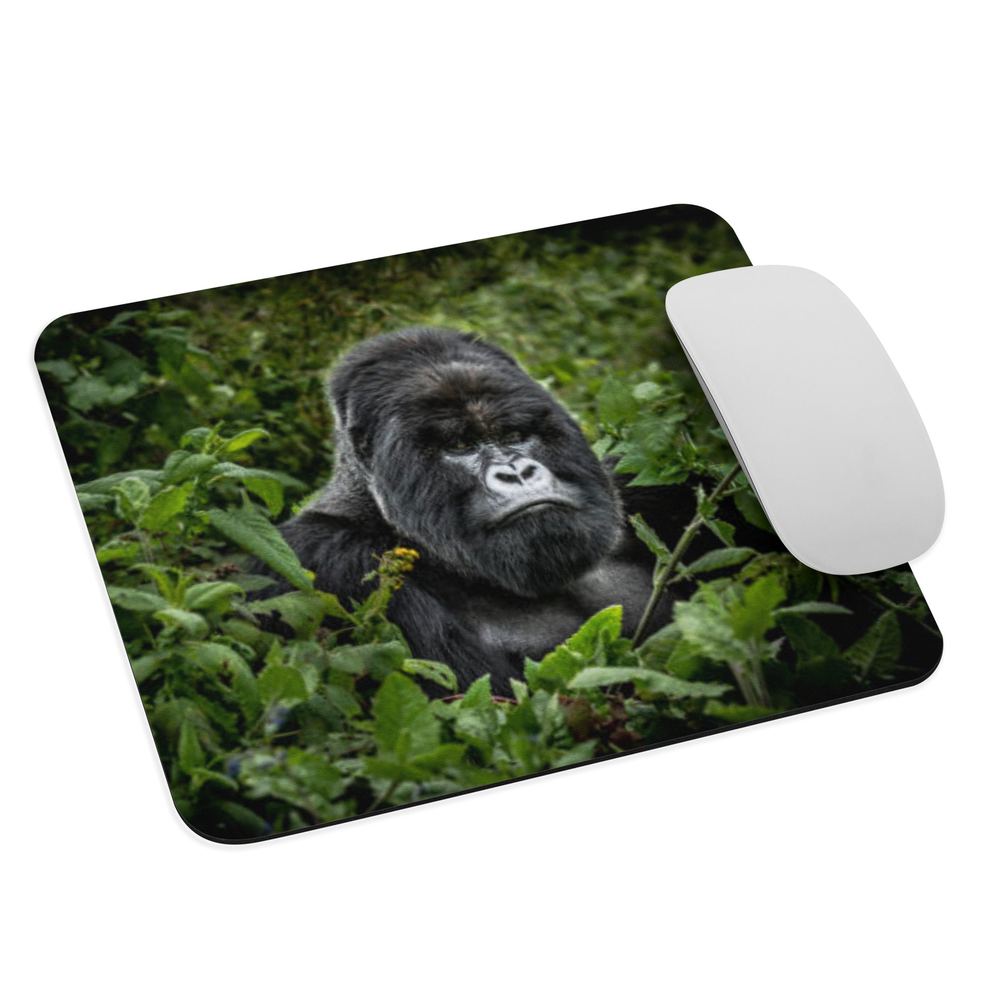 Photography Products | Wildlife Padded Mousepads | TheLifeWeCapture