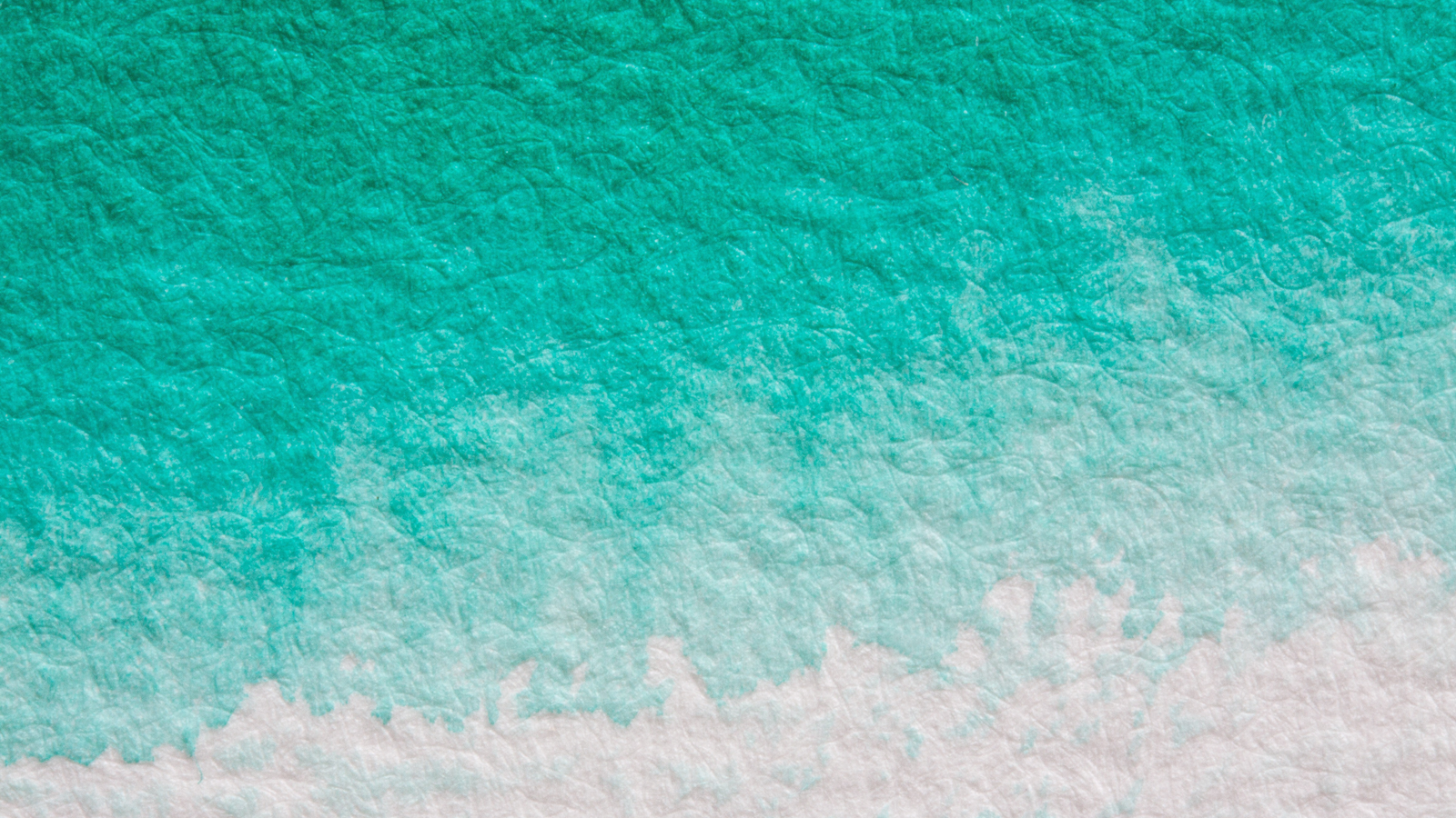 Partnered Photographers