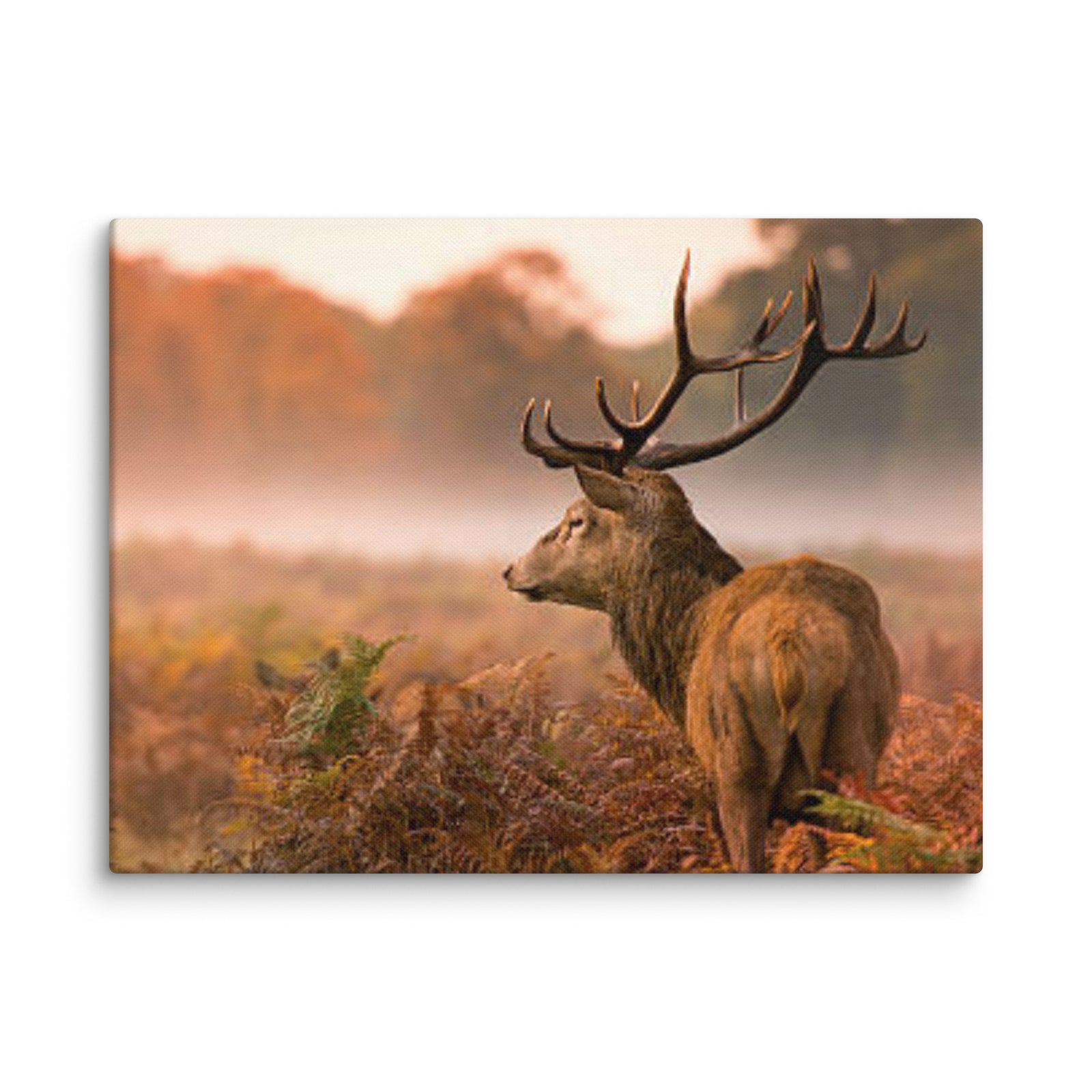 Canvas Prints