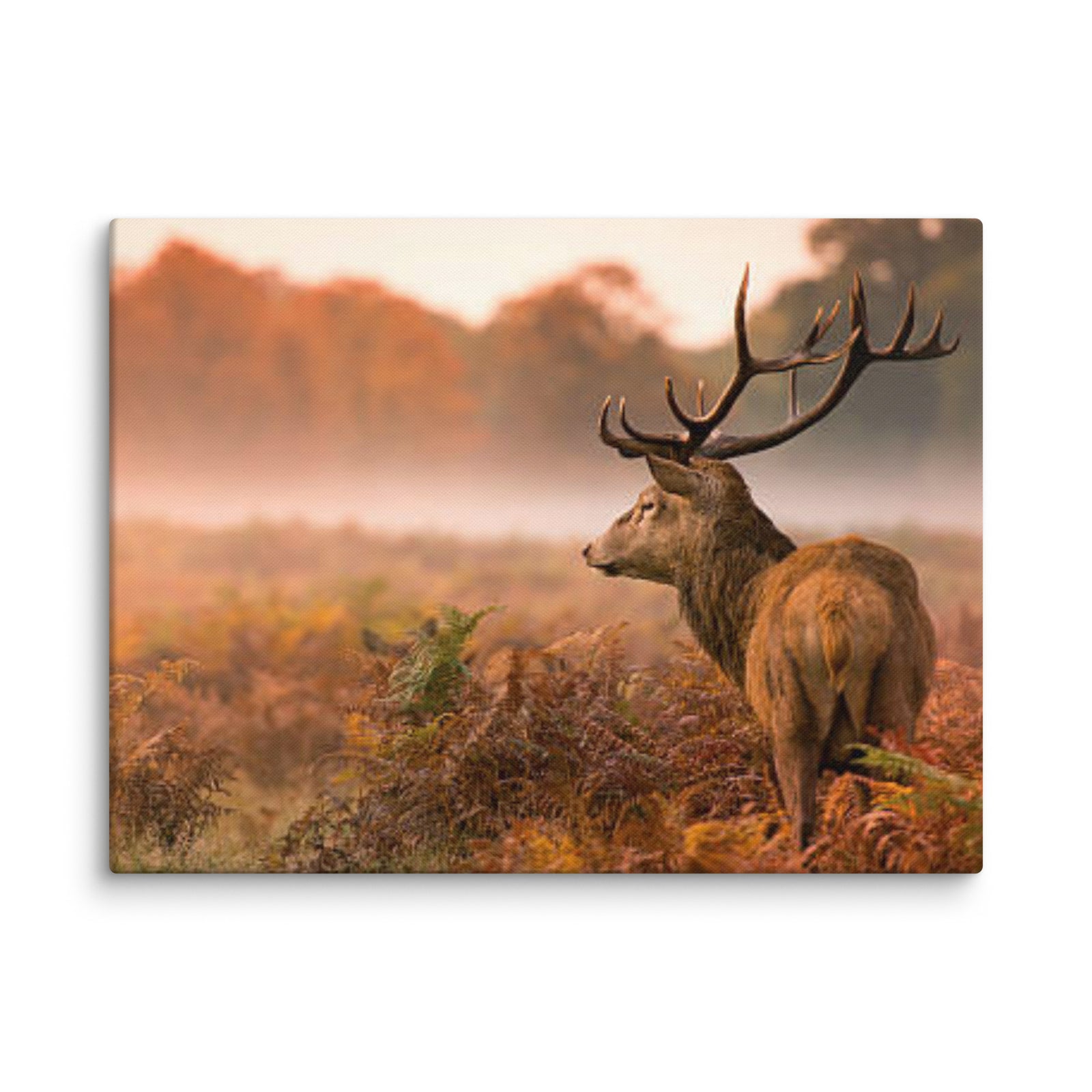 Wildlife Canvas Prints
