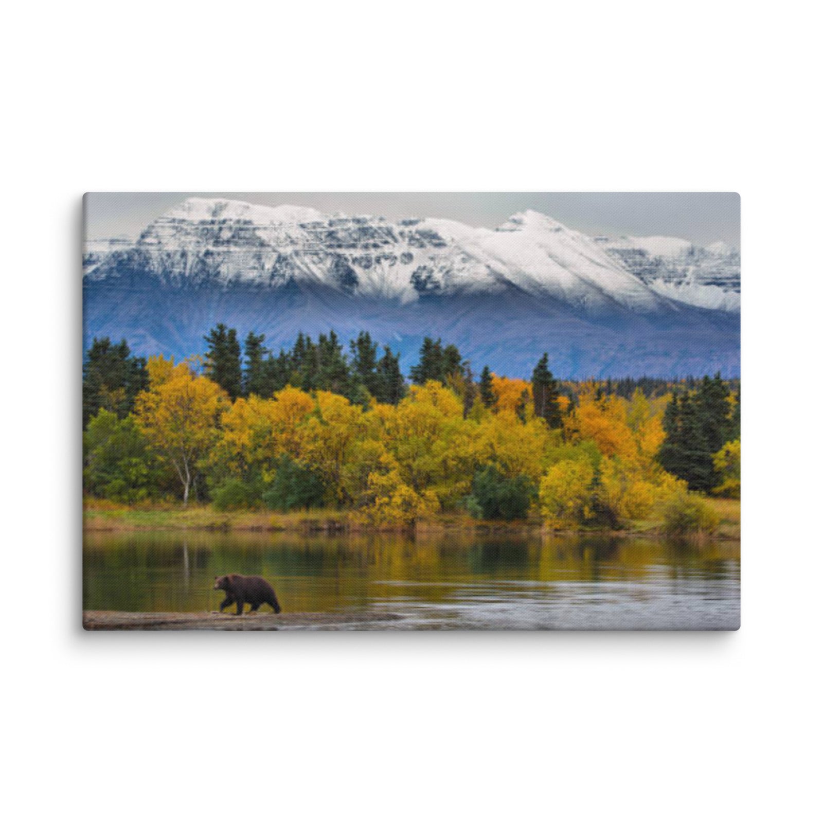 Nature Canvas Prints