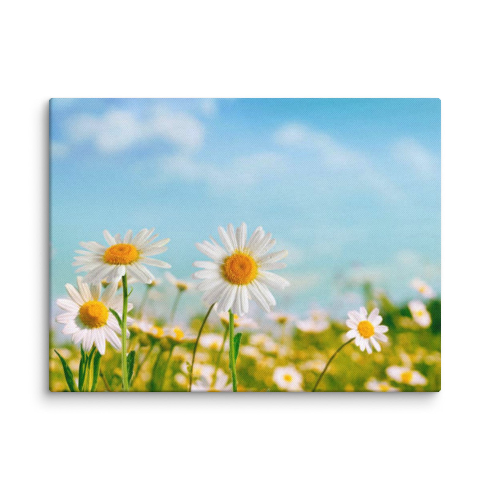 Limited Time Products