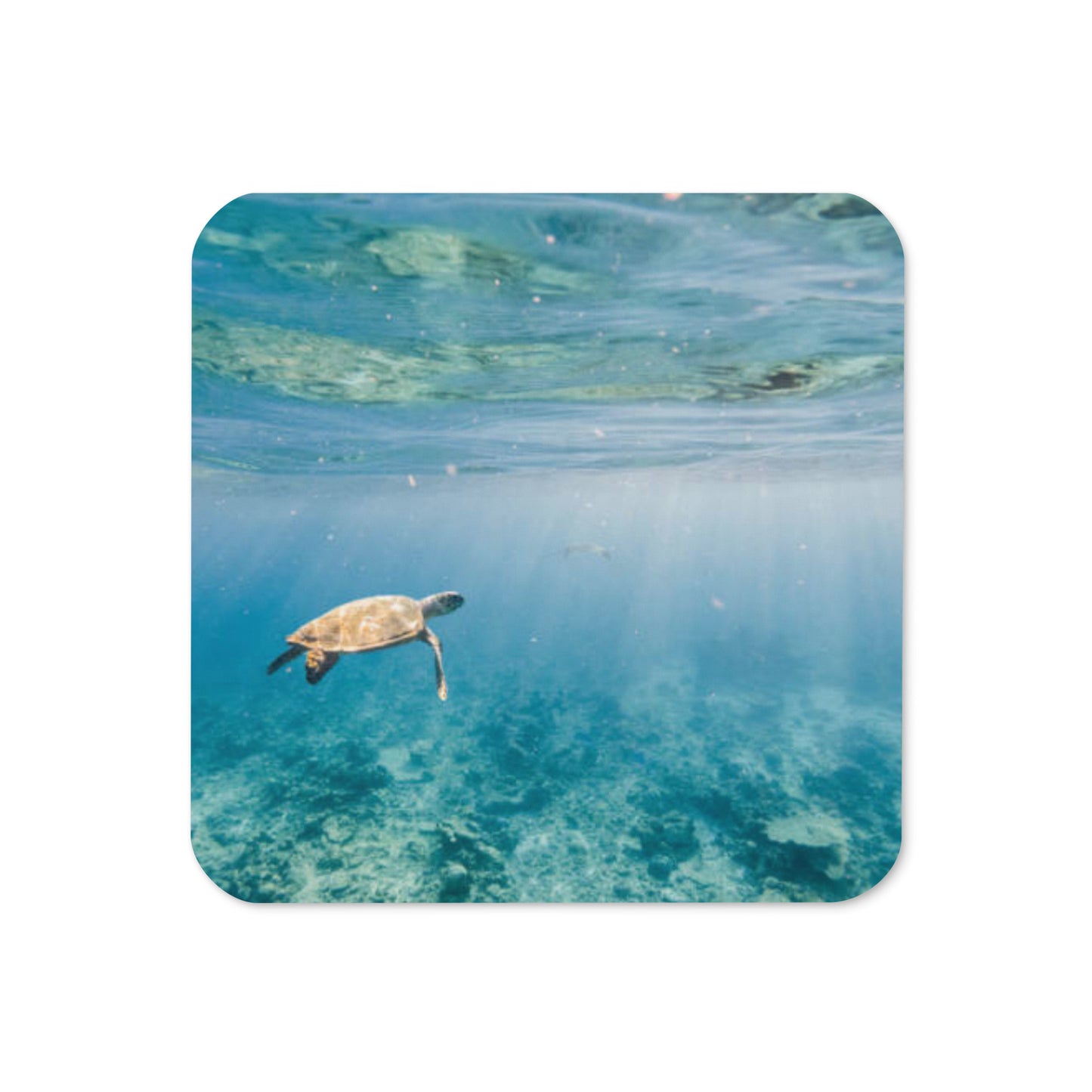 Gloss Coated Cork Backed Coaster - Sea Turtle