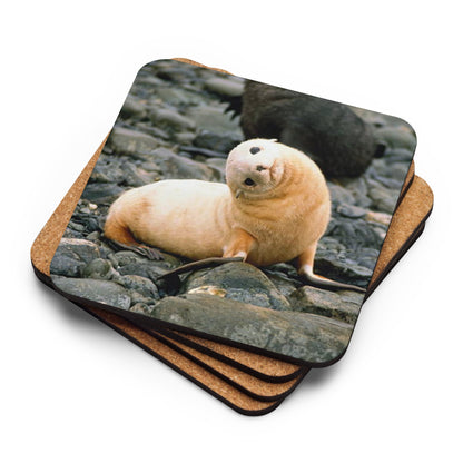 Gloss Coated Cork Backed Coaster - Baby Sea Lion