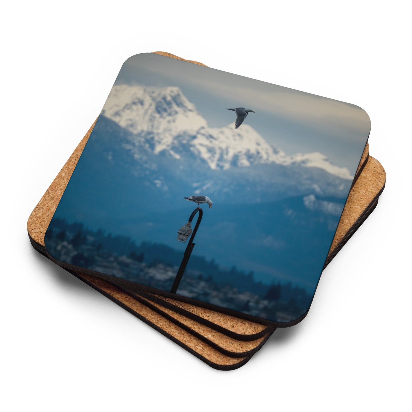 Gloss Coated Cork Backed Coaster - Perch & Soar