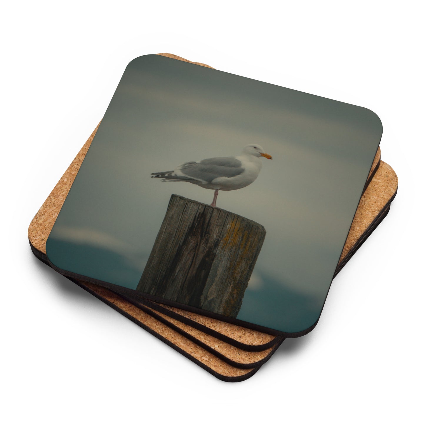 Gloss Coated Cork Backed Coaster - Gull Pier Perch