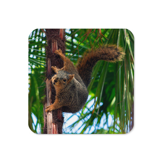 Gloss Coated Cork Backed Coaster - Ninja Squirrel