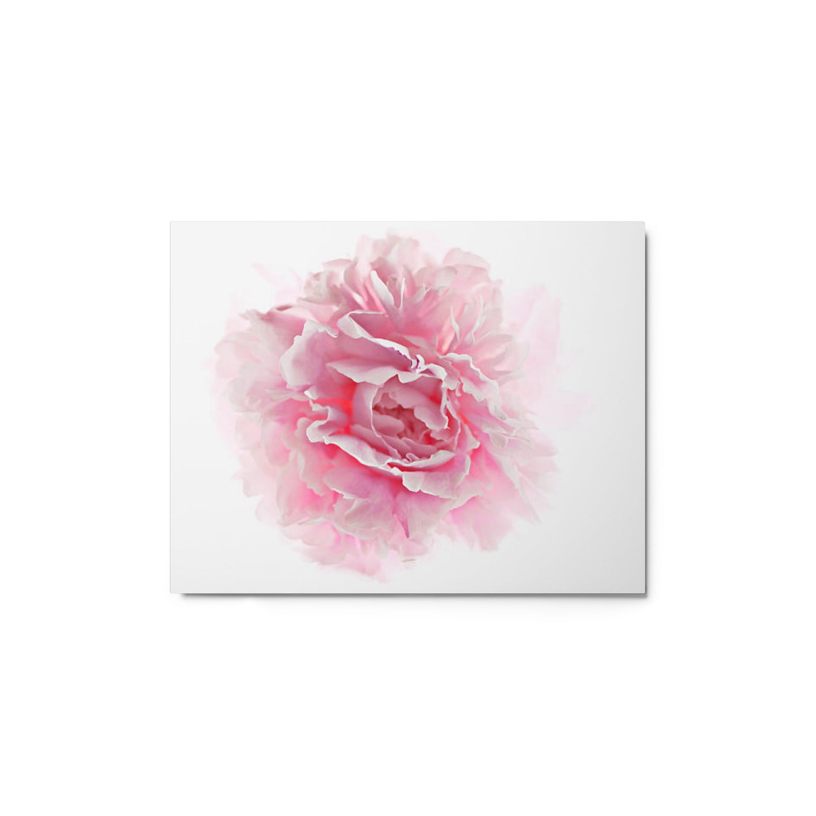 Prints - Spring Themed