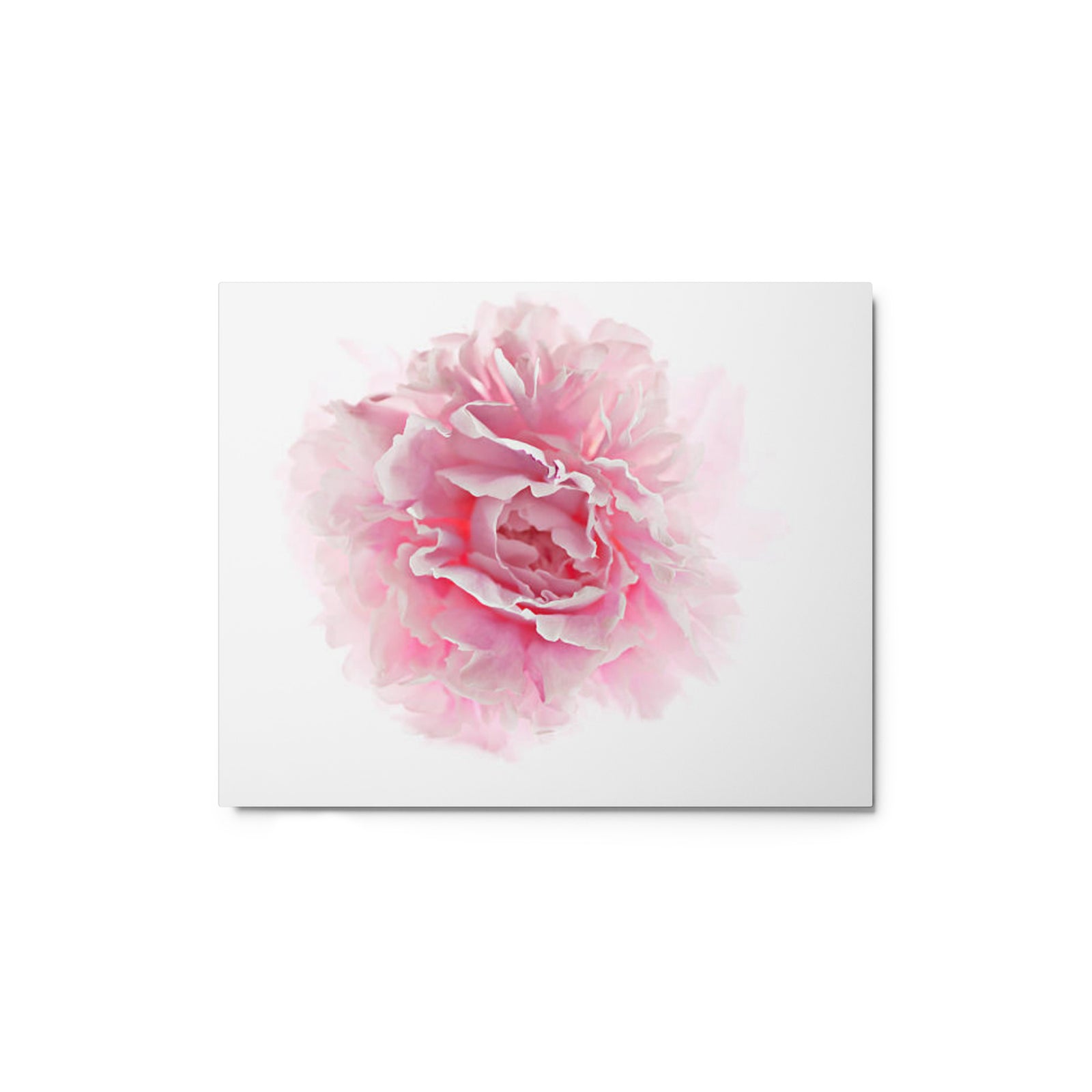 Full Canvas Prints Collection