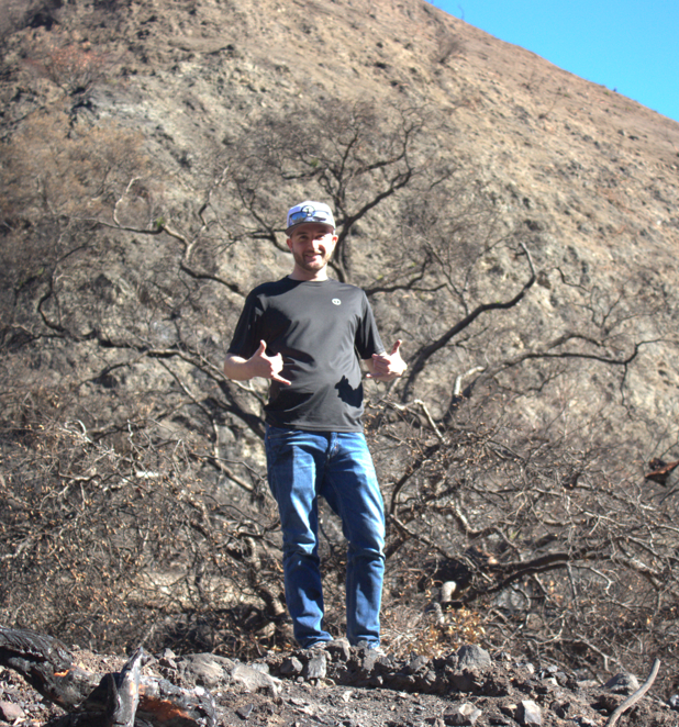 Robert Taylor - Profile