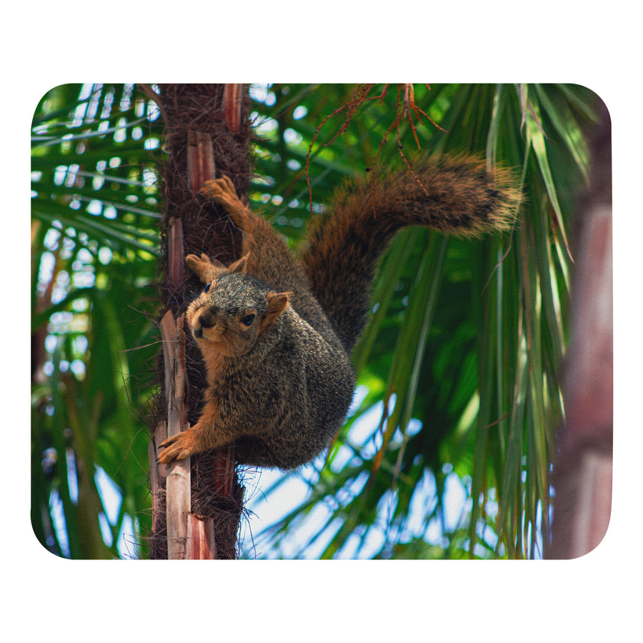 Padded Non-Slip Mousepad - Ninja Squirrel